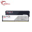 G.Skill DDR5 Gaming Series - Ripjaws S5 Online Sale